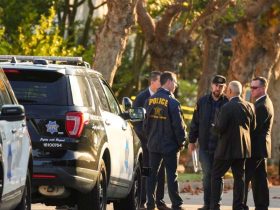 Attempted Murder Charges Dismissed in Paul Pelosi Attack Case
