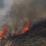 Brush Fire in Del Mar Heights Under Control Evacuations and Road Closures Lifted