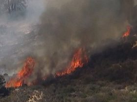 Brush Fire in Del Mar Heights Under Control Evacuations and Road Closures Lifted