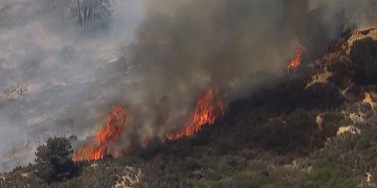 Brush Fire in Del Mar Heights Under Control Evacuations and Road Closures Lifted