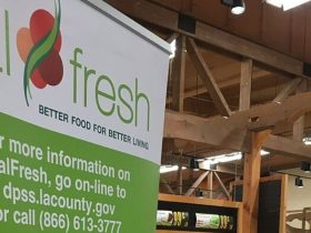 CalFresh Summer Bonus 2024 Increased Food Stamp Benefits in California