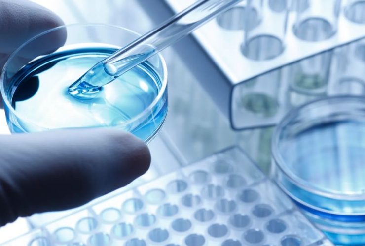 Emerging Threat: First US Case of Sexually Transmitted Ringworm Reported in NYC