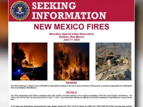 FBI Offers $10,000 Reward for Leads in New Mexico Wildfire Cases