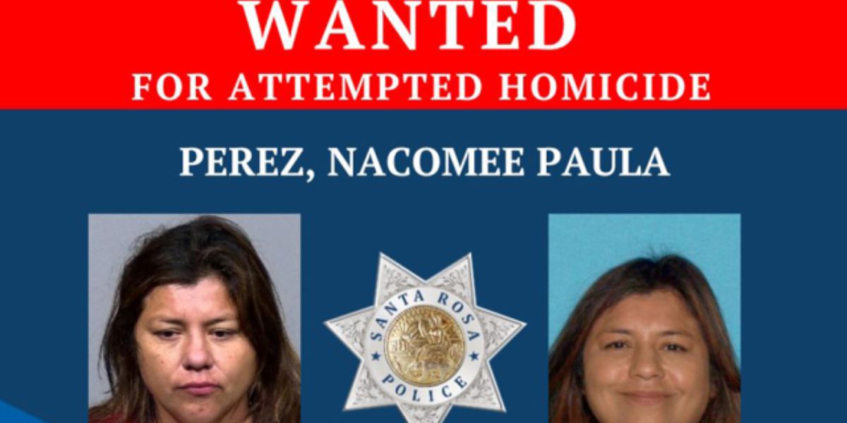 Hunt Intensifies for Woman Involved in Santa Rosa Stabbing; Reward Promised