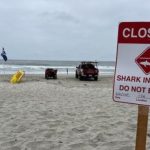 Man Bitten by Shark During Group Swim, California Beach Closed