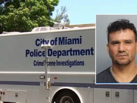 Miami Police Nab Shooter After Man Murdered in Front of Granddaughter