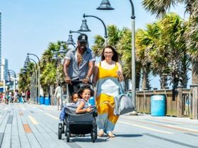 Settle Down in Style South Carolina's Ultimate Family-Friendly Spots