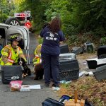 Tragic Accident Minivan Carrying Dozens of Puppies Crashes in Connecticut