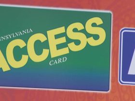 Transnational Crime Ring Targets SNAP Recipients in Pennsylvania and New Jersey, Says Secret Service