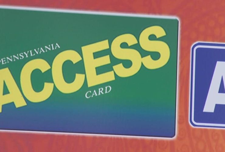 Transnational Crime Ring Targets SNAP Recipients in Pennsylvania and New Jersey, Says Secret Service