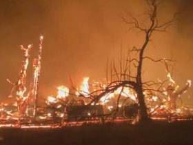 Wildfire Near San Francisco Grows to 14,000 Acres, Injures 2 Firefighters