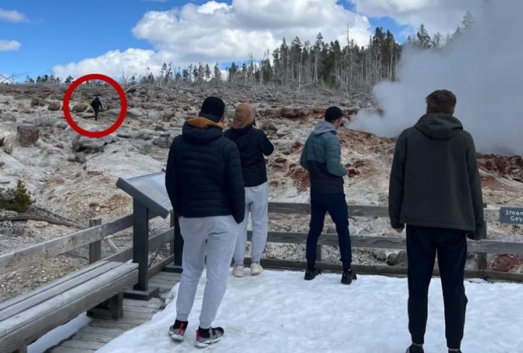Yellowstone Tourist Jailed for 7 Days After Caught-on-Camera Incident
