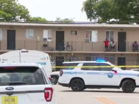 11-Year-Old Girl Shot in Miami, Father Rushes Her to Hospital