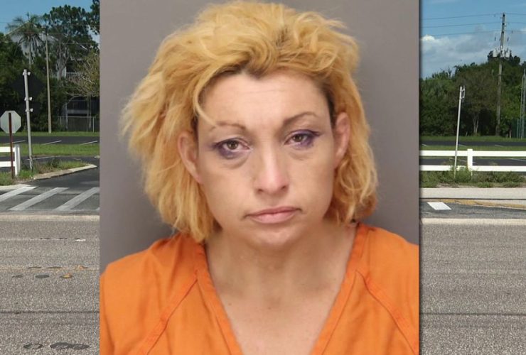 Amazon Magnet Helps Florida Woman Allegedly Steal from Store
