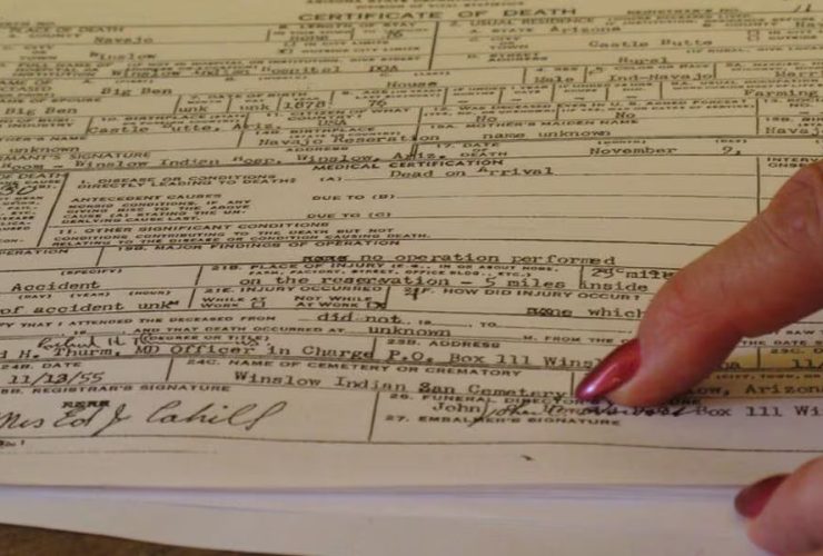 Birth and Death Records Crisis Florida's System Meltdown Causes Panic