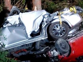Deadly Crash in Lawrence County Results in Three Fatalities, One Critical Injury