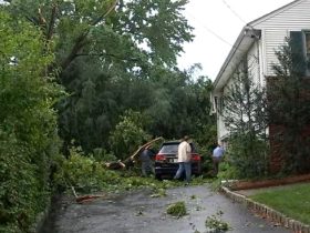 Destructive Storms Bring Down Trees, Lightning Suspected in NJ Apartment Fire