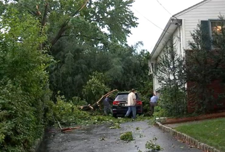 Destructive Storms Bring Down Trees, Lightning Suspected in NJ Apartment Fire