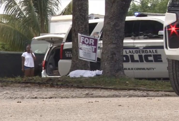 Dog Found Shot and Killed Outside Fort Lauderdale Residence