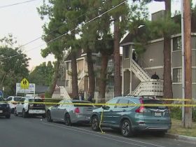 Fatal Stabbing in Canoga Park Apartment Complex Suspect at Large