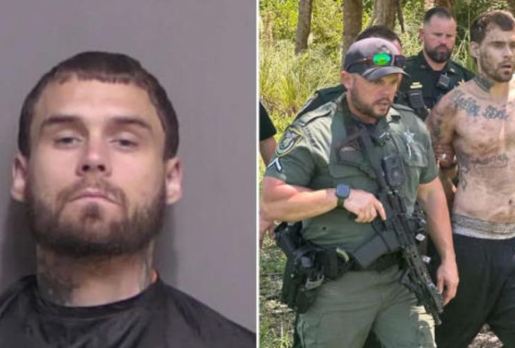 Florida Felon’s Dramatic Arrest K-9 Drags Faking Injuries Convict from Woods