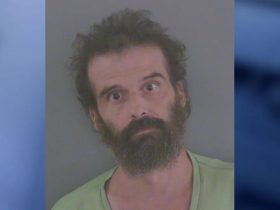 Florida Man Arrested After Bizarre 1-Cent Bank Withdrawal Attempt