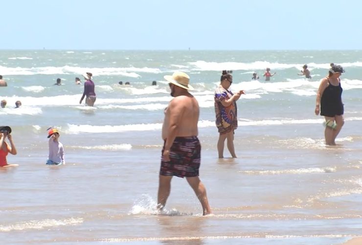 Fourth of July Turns Tragic Shark Attacks Leave Four Injured in Texas and Florida