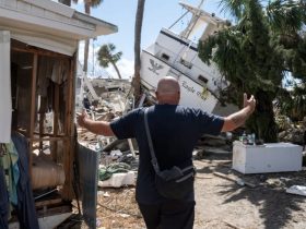 Home Insurance Company Withdraws from Florida Amid Market Changes