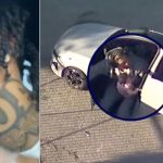 LA Robbery Suspect Caught After Livestreaming Chase with Baby in Car