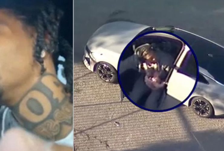 LA Robbery Suspect Caught After Livestreaming Chase with Baby in Car