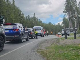 Man Shot Dead by Yellowstone Rangers After Alleged Mass Shooting Threat