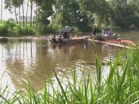 Oil Spill in Bayou Lafourche Claims Lives of 20 Animals; Response Teams Active