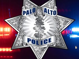 Palo Alto Woman Robbed of Necklace Two Suspects at Large