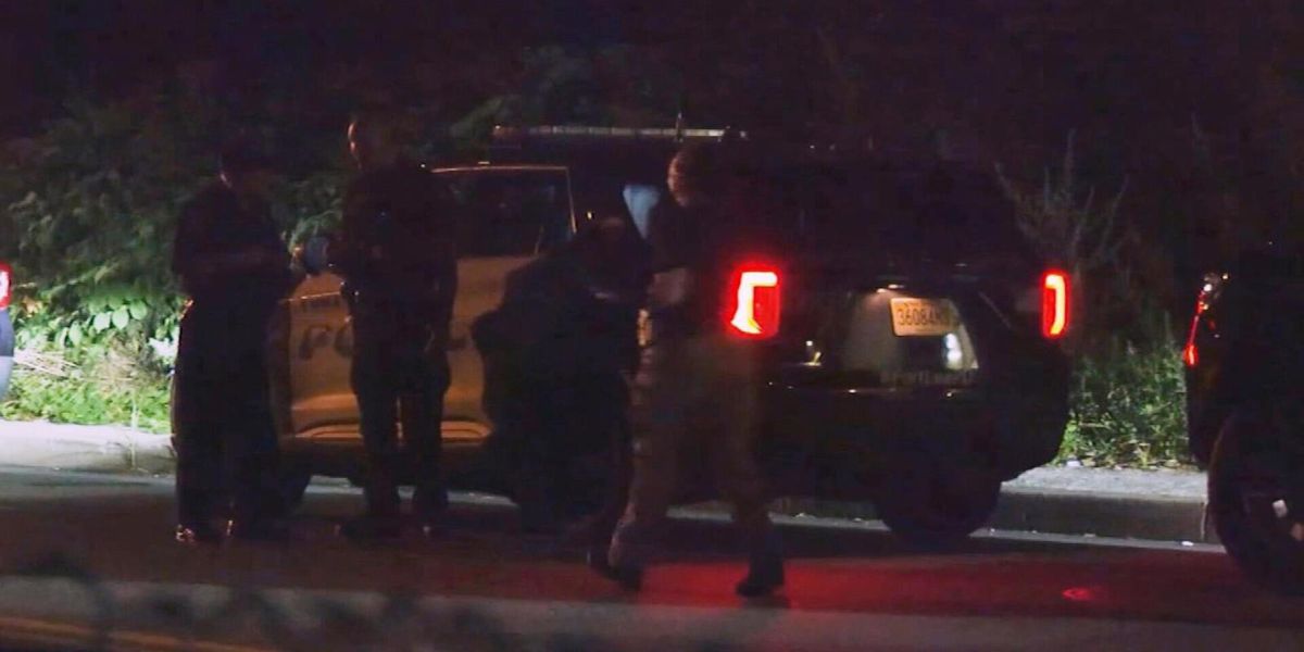 Police Fatally Shoot Woman in Mental Health Crisis Attorney General Report