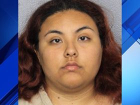 Pompano Beach Woman Arrested Puppy Found Decomposing in Outdoor Cage