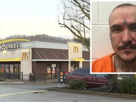 McDonald's Horror: Employee Follows and Stabs Customer in Bathroom