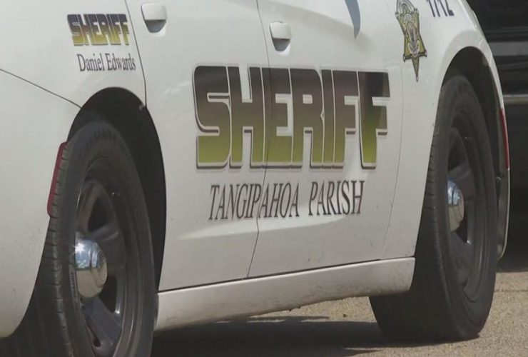 3 Teenagers from Ponchatoula Arrested for Animal Cruelty