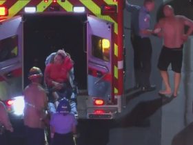 Tragic Boat Crash in Long Beach 1 Dead, 10 Hospitalized