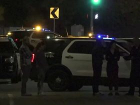 Woman Killed in Larchmont Hit-and-Run LAPD Launches Investigation