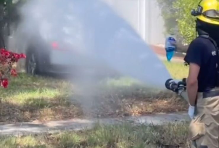 Bees Strike Back Driver Attacked After Crashing Into Home in Southern California