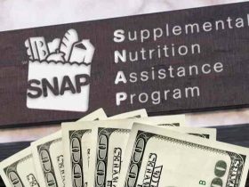 Big COLA Hike for 2025 SNAP Payments to Include Up to $3,516 in Food Stamps