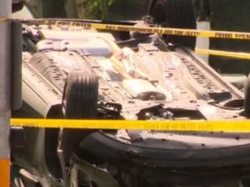 Central Broward Crash 2 Dead, Multiple Injuries in Devastating Accident