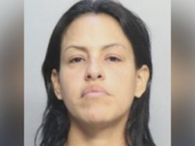 Delivery Driver Faces Judge After Aventura Isles Hit-and-Run, Mother and Infant Recovering