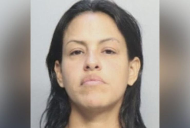 Delivery Driver Faces Judge After Aventura Isles Hit-and-Run, Mother and Infant Recovering