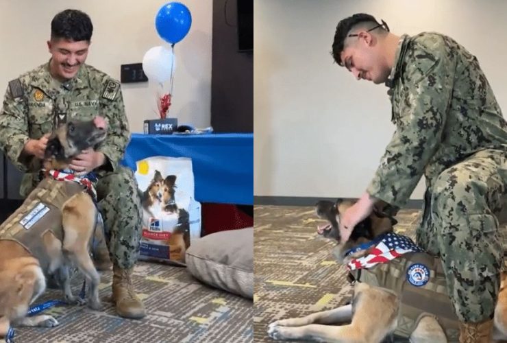 Emotional Moment Former Trainer and Military Working Dog Reunited at Lemoore Naval Air Station