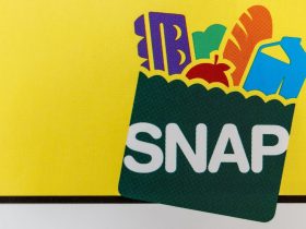 Florida SNAP Payment Schedule Unveiled: Find Out When You’ll Get Your Food Stamps!