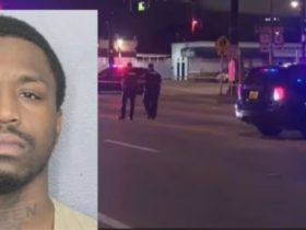 Hallandale Beach Man Charged with Murder After Allegedly Dumping Woman's Body from Vehicle