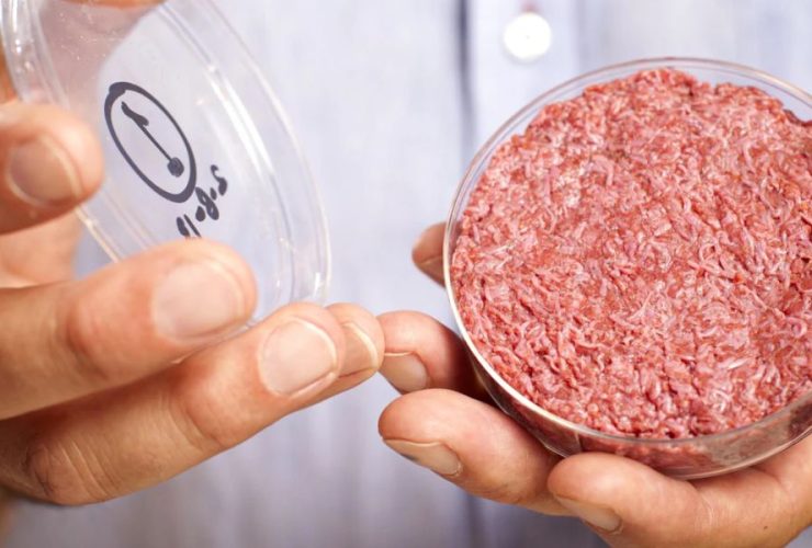 Legal Showdown Florida Sued Over Restrictive Lab-Grown Meat Legislation