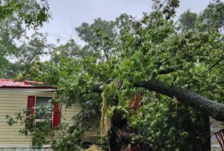 Levy County Boy, 13, Killed as Hurricane Debby Makes Landfall