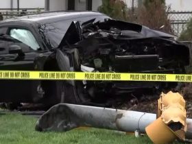 Man Shot in Chest, Crashes Car, Dies on Philadelphia’s Roosevelt Boulevard